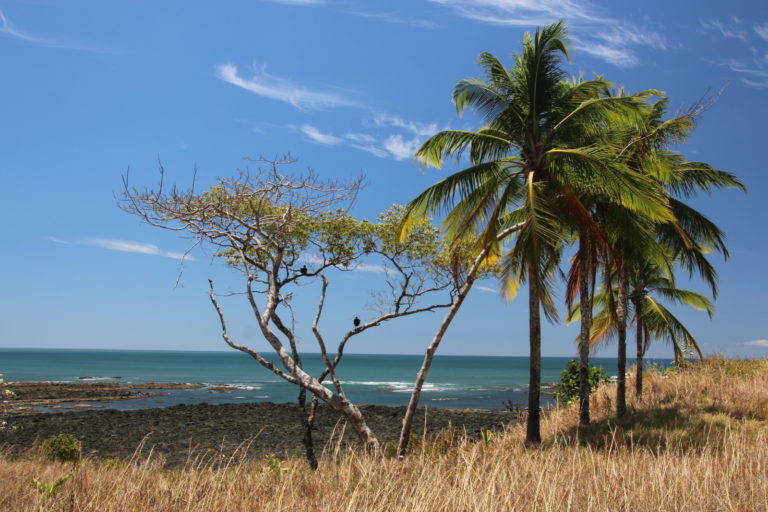 🇨🇷 🇵🇦 Tag 225 bis 227 – Oh wie schön könnte Panama sein